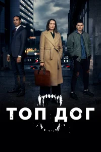 Топ дог Топ дог